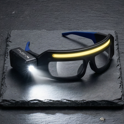 TaskSight Glasses