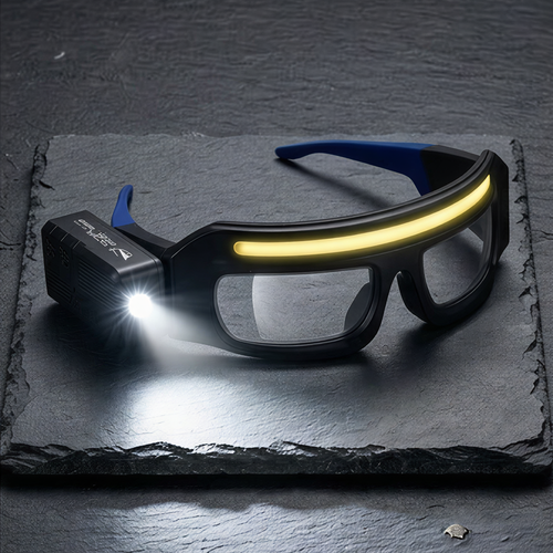 TaskSight Glasses